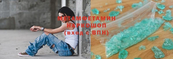 гидра Богородицк