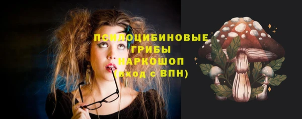 дмт Бронницы