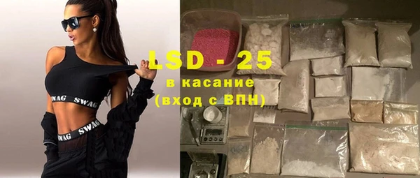 ECSTASY Богданович