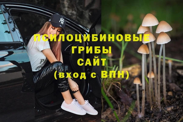 таблы Беломорск