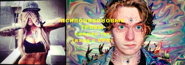 синтетический гашиш Белокуриха