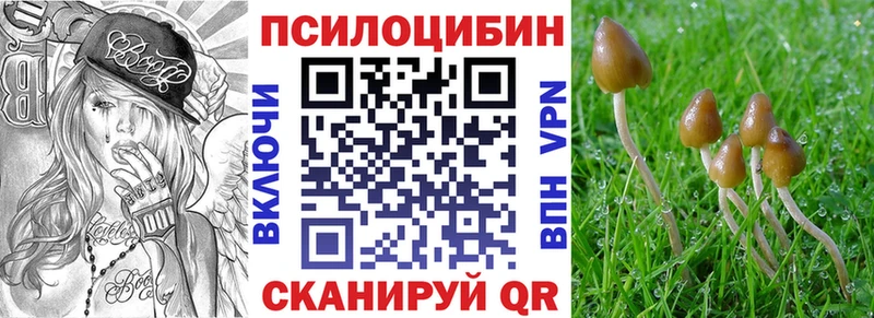 Галлюциногенные грибы GOLDEN TEACHER  Горно-Алтайск 